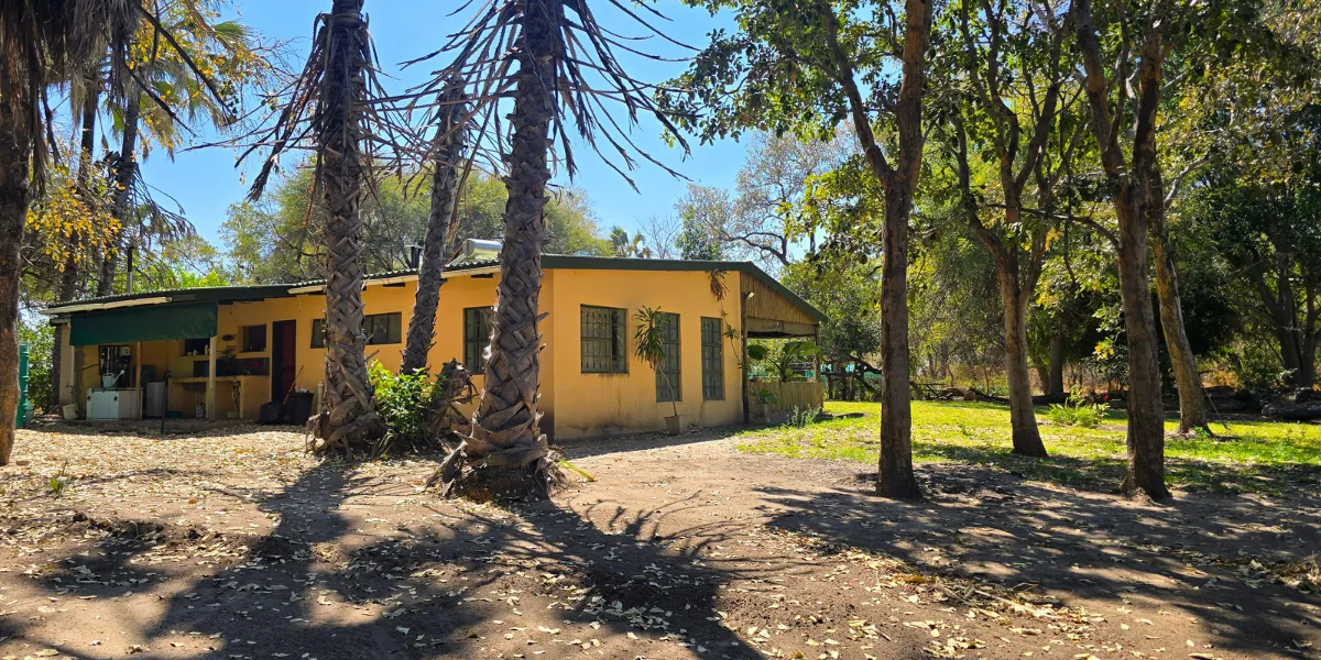 Camp and savanna