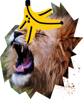 Lion with a banana over its eyes
