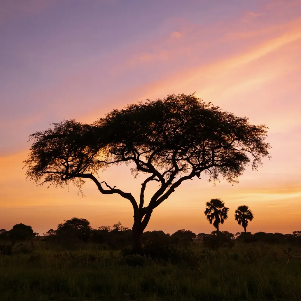 An evening on your trip