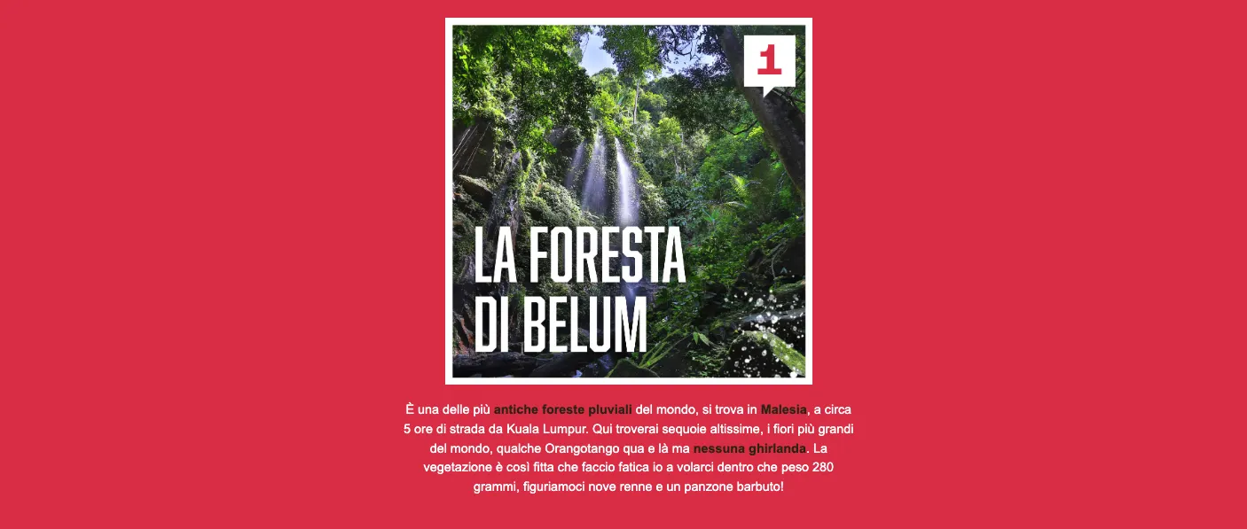1. La selva de Belum en Malasia, una de las selvas tropicales más antiguas del mundo